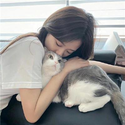 碧窗艳影
