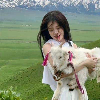 哥吉拉的逆袭