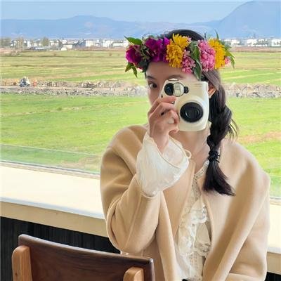 蠢蛋进化论